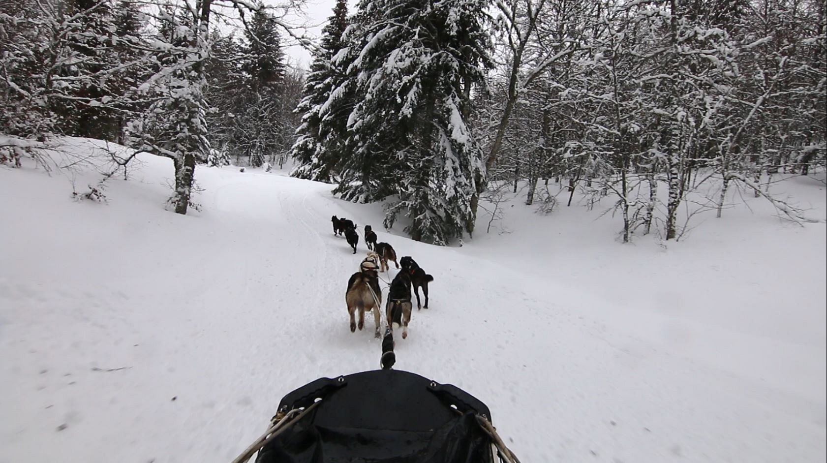 To ski or not to ski? How mountain resorts are using climate data to adapt