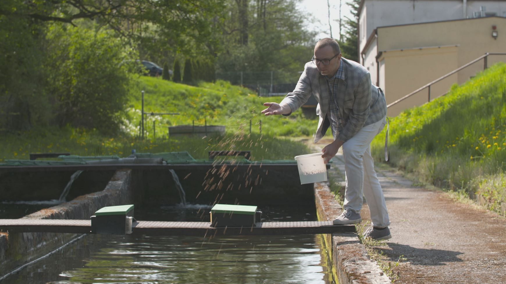 Fish and poultry try a new sustainable diet of larvae and insects