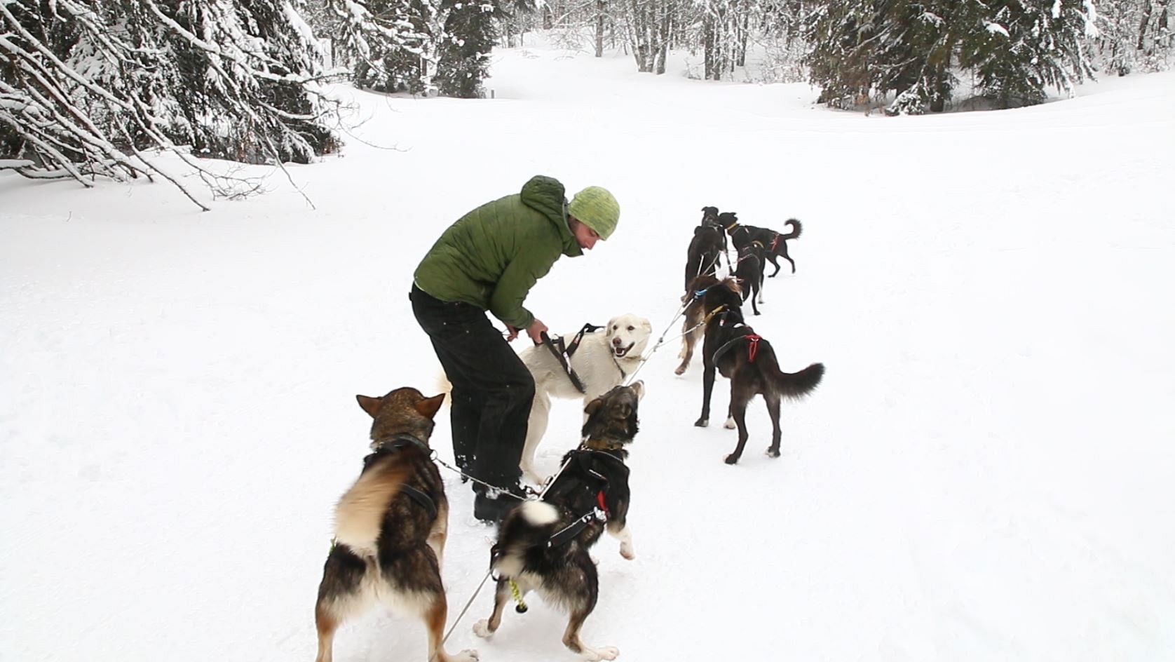 To ski or not to ski? How mountain resorts are using climate data to adapt