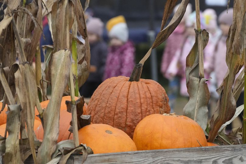 Kinder auf einer Kürbis-Farm in Polen