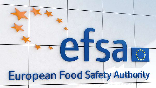 I 15 anni della ''Food Law'', che permise la creazione dell'EFSA I 15 anni della ''Food Law'', che permise la creazione dell'EFSA