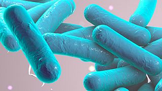 Direção-geral de Saúde declara fim do surto de Legionella