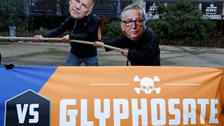 Glyphosate opponents express anger at EU Commissioners in Brussels