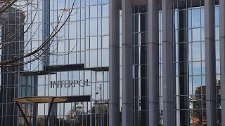 Interpol: Üye ülkeleri 'arananlar' konusunda ikna etme yetkimiz yok
