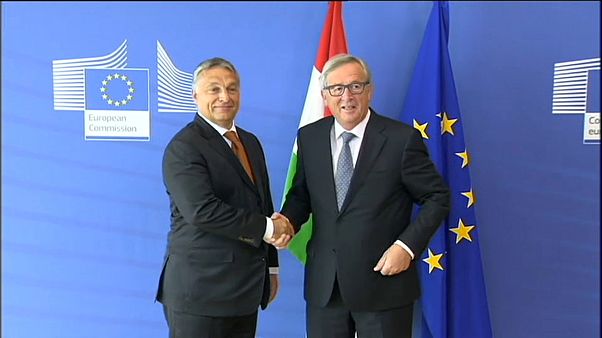 Políticos europeus pedem suspensão de financiamento à Hungria Políticos europeus pedem suspensão de financiamento à Hungria