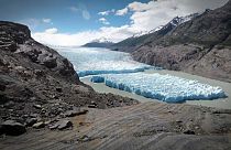 The Grey Glacier in Chile has calved a large ice floe