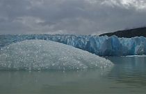 Grosso iceberg si stacca da un ghiacciaio cileno