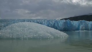 Grosso iceberg si stacca da un ghiacciaio cileno