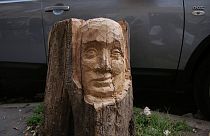 Bringing a new life to an old tree