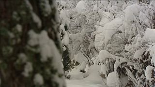 Erster Schnee in Ungarn und Polen