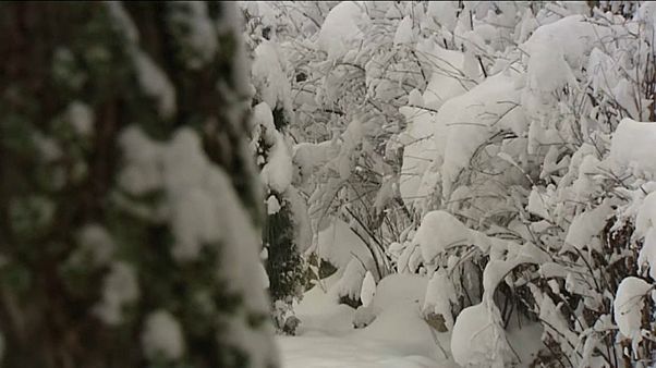 Erster Schnee in Ungarn und Polen Erster Schnee in Ungarn und Polen