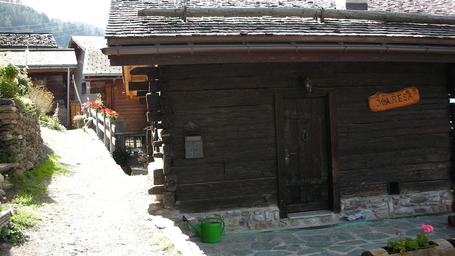 Albinen