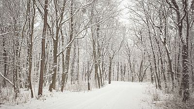 Τα πρώτα χιόνια στην Πολωνία