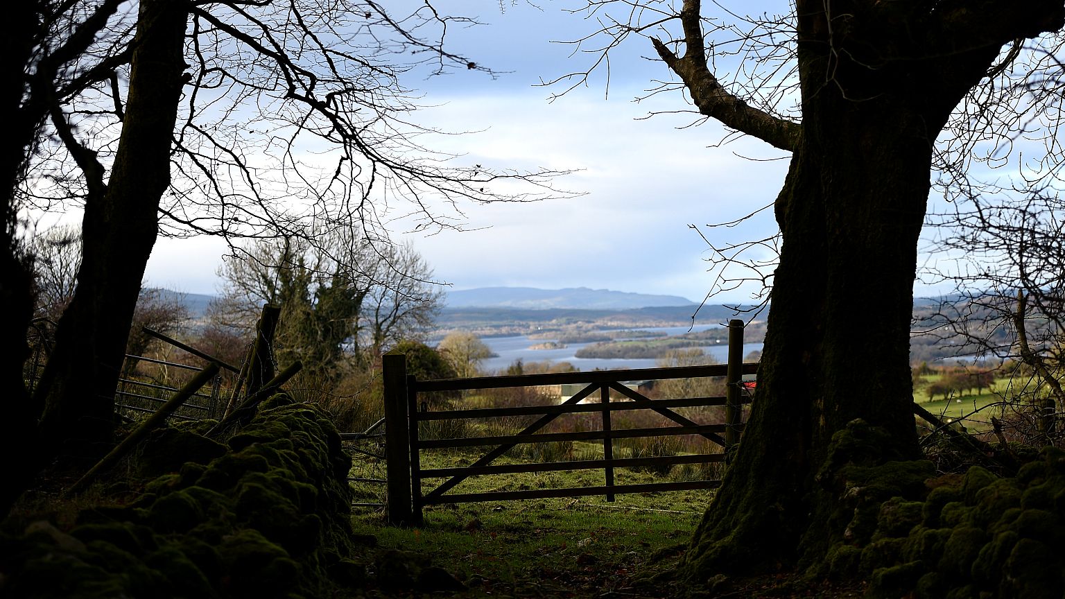 A farm gate marks the border between Ireland and Northern Ireland.