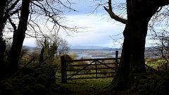 A farm gate marks the border between Ireland and Northern Ireland.