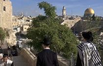 США признают Иерусалим столицей Израиля?