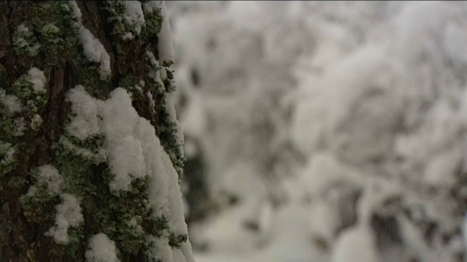 Forte nevão caiu no sul da Polónia
