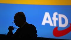 AfD Kongresi: İçeride oylama dışarıda protesto