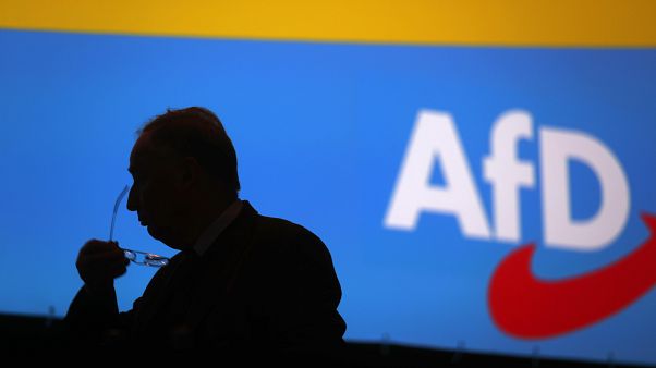 AfD Kongresi: İçeride oylama dışarıda protesto AfD Kongresi: İçeride oylama dışarıda protesto
