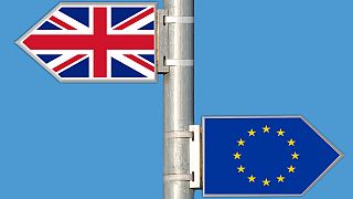 Brexit flags