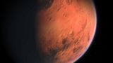 Dutch lab gives birth to ‘Martian’ worms