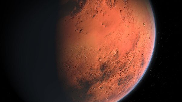 Dutch lab gives birth to ‘Martian’ worms Dutch lab gives birth to ‘Martian’ worms