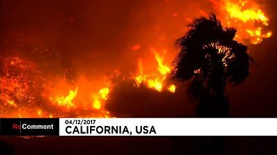 США: лесные пожары в Калифорнии