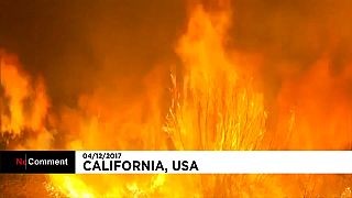 Califórnia: Incêndio obrigou centenas a abandonar casas