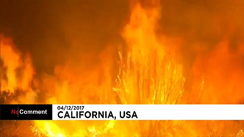 Califórnia: Incêndio obrigou centenas a abandonar casas 