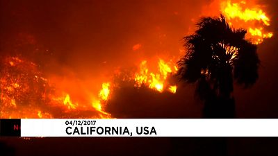 Новый лесной пожар в Калифорнии