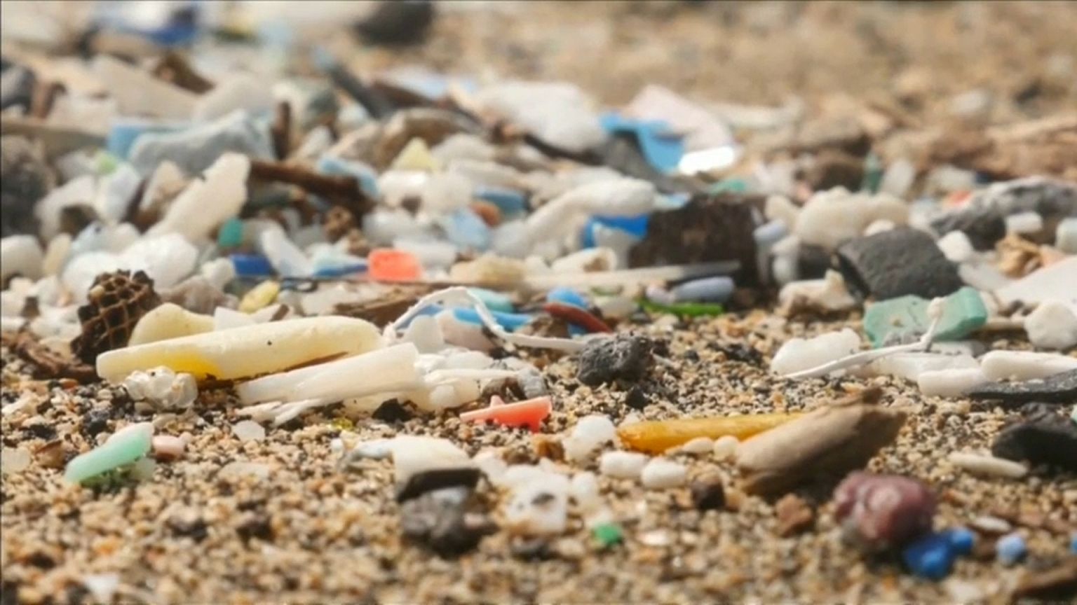 ONU : la pollution au coeur des discussions