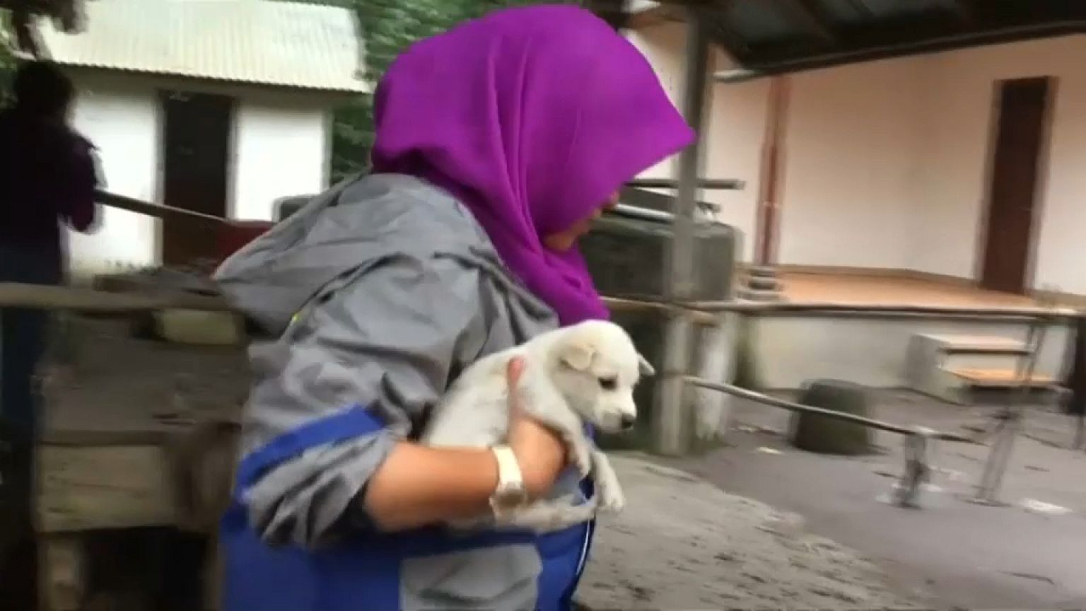 Bali: Aktivisten retten Tiere vor Vulkanausbruch