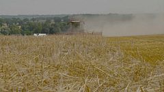 Italia: 8mila ettari per i giovani agricoltori