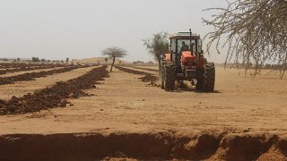 A tractor in Niger prepares the ground