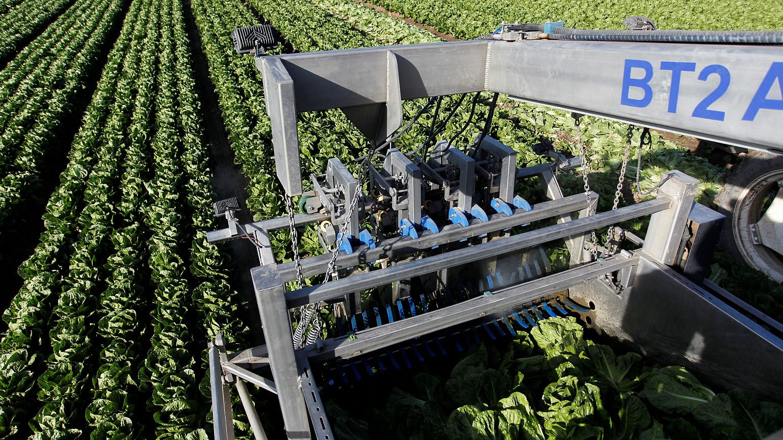 Itália vende milhares de hectares a jovens