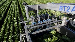 Itália vende milhares de hectares a jovens