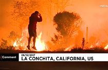 Kalifornien: Mann rettet Hase vor den Flammen