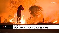 Kalifornien: Mann rettet Hase vor den Flammen