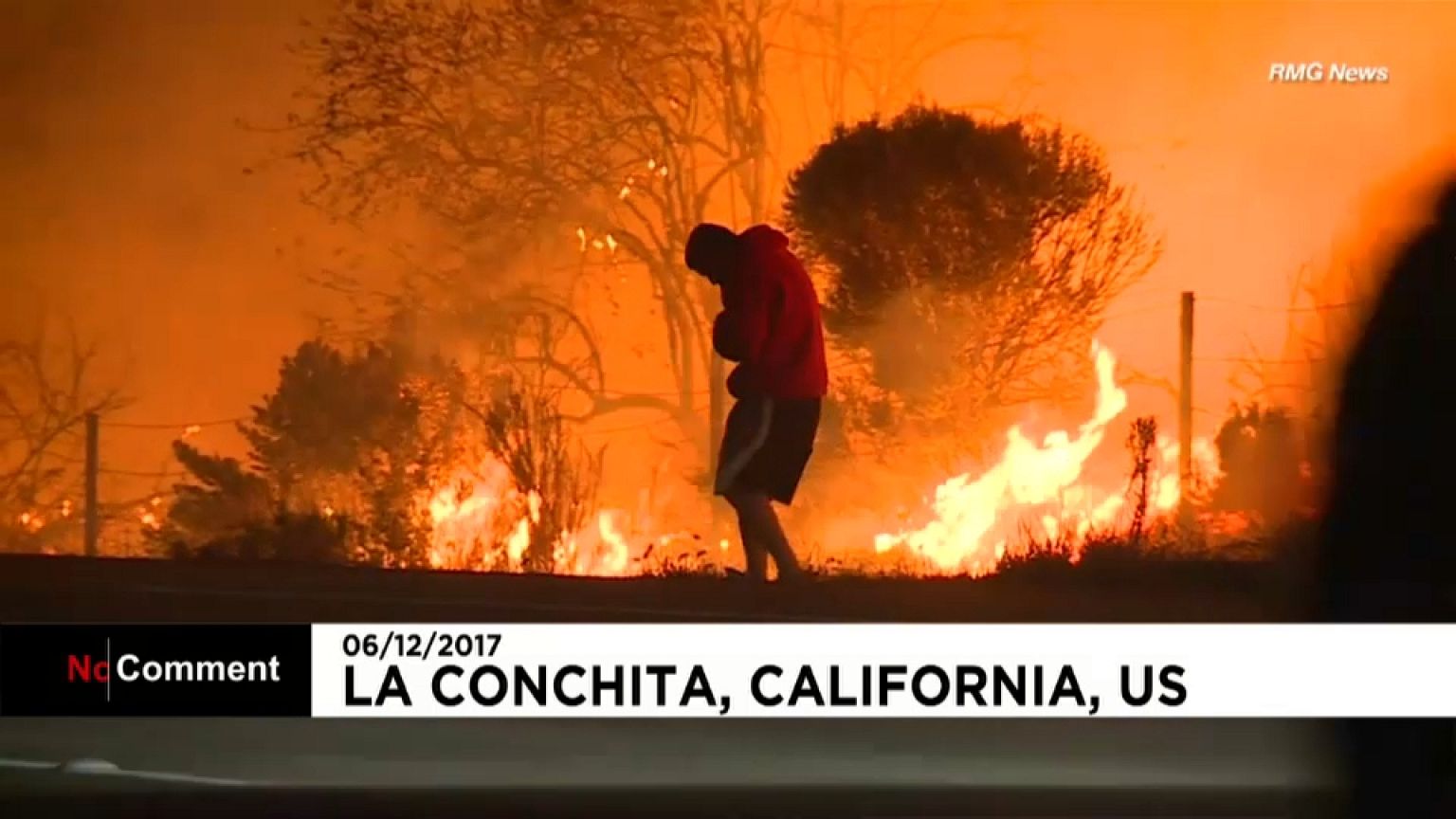 Un lapin sauvé des flammes en Californie