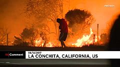 Un lapin sauvé des flammes en Californie