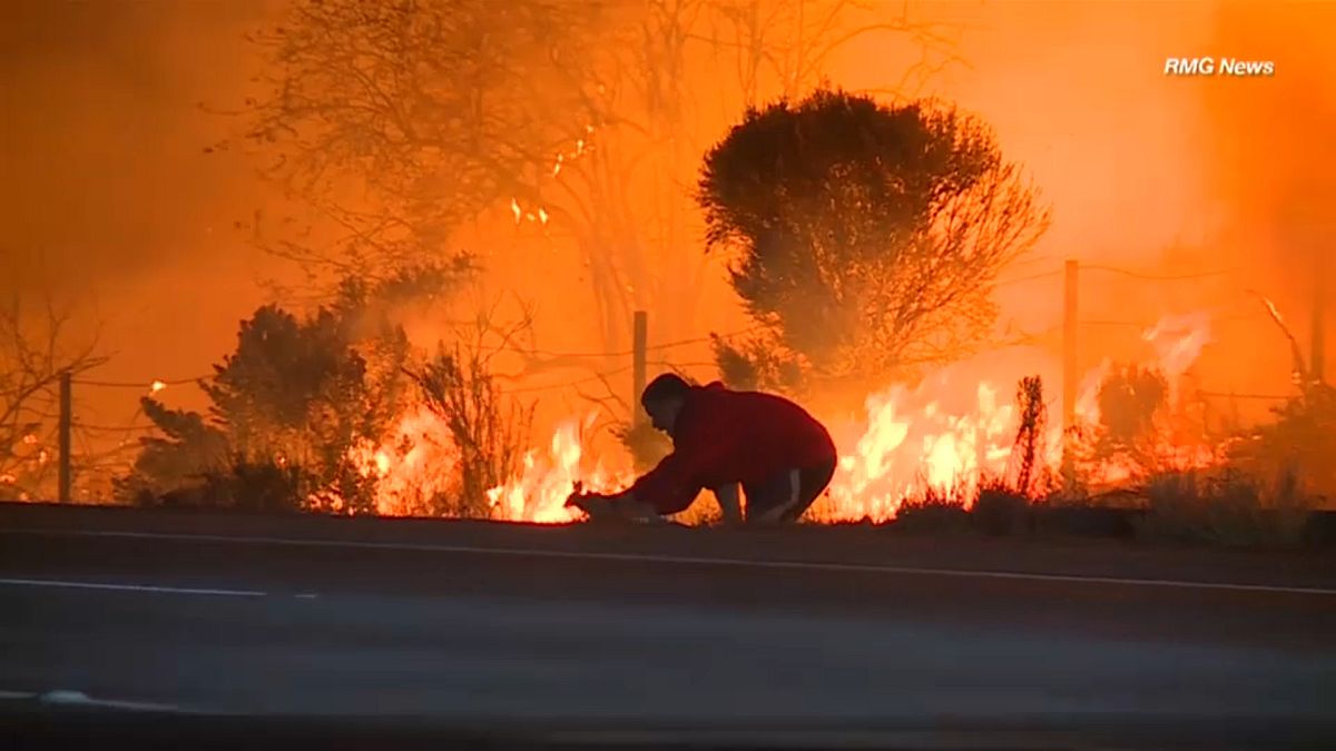 California man saves bunny from blaze