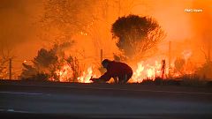 California man saves bunny from blaze