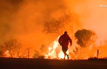 Incêndios causam drama na Califórnia