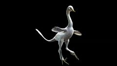 Hallada una nueva especie de dinosaurio que mezcla diversos animales