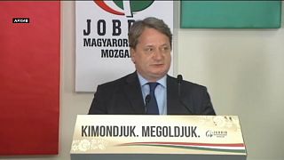 Венгрия: евродепутата обвинили в пророссийском шпионаже