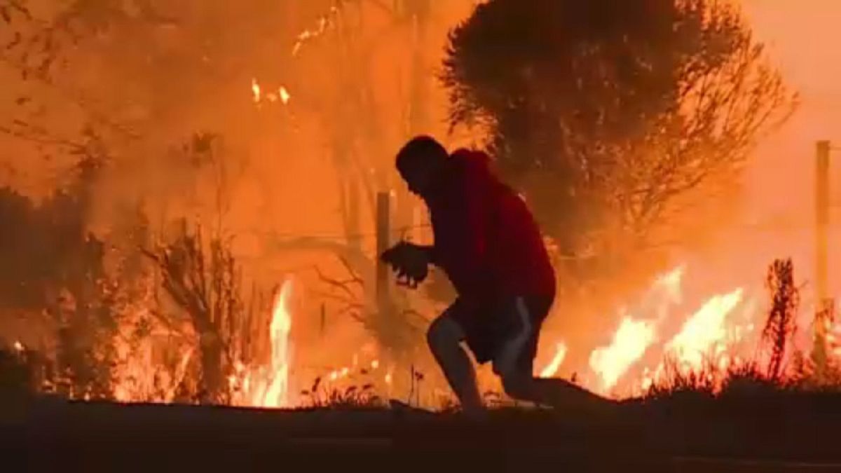 Άνδρας στην Καλιφόρνια αψηφά τις φλόγες για να σώσει ένα αγριοκούνελο