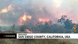 Brände in Kalifornien: Notstand für San Diego
