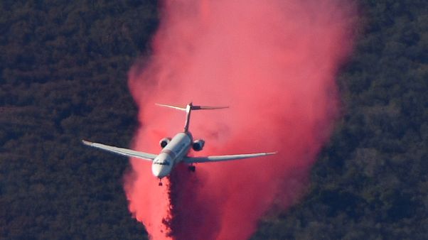 Incendi in California: il vento cala, l'opera di spegnimento continua Incendi in California: il vento cala, l'opera di spegnimento continua