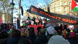 Pro-Palestinian protest in Paris