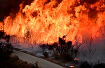 Riesige Flammen in Kalifornien: Flächenbrand breitet sich aus